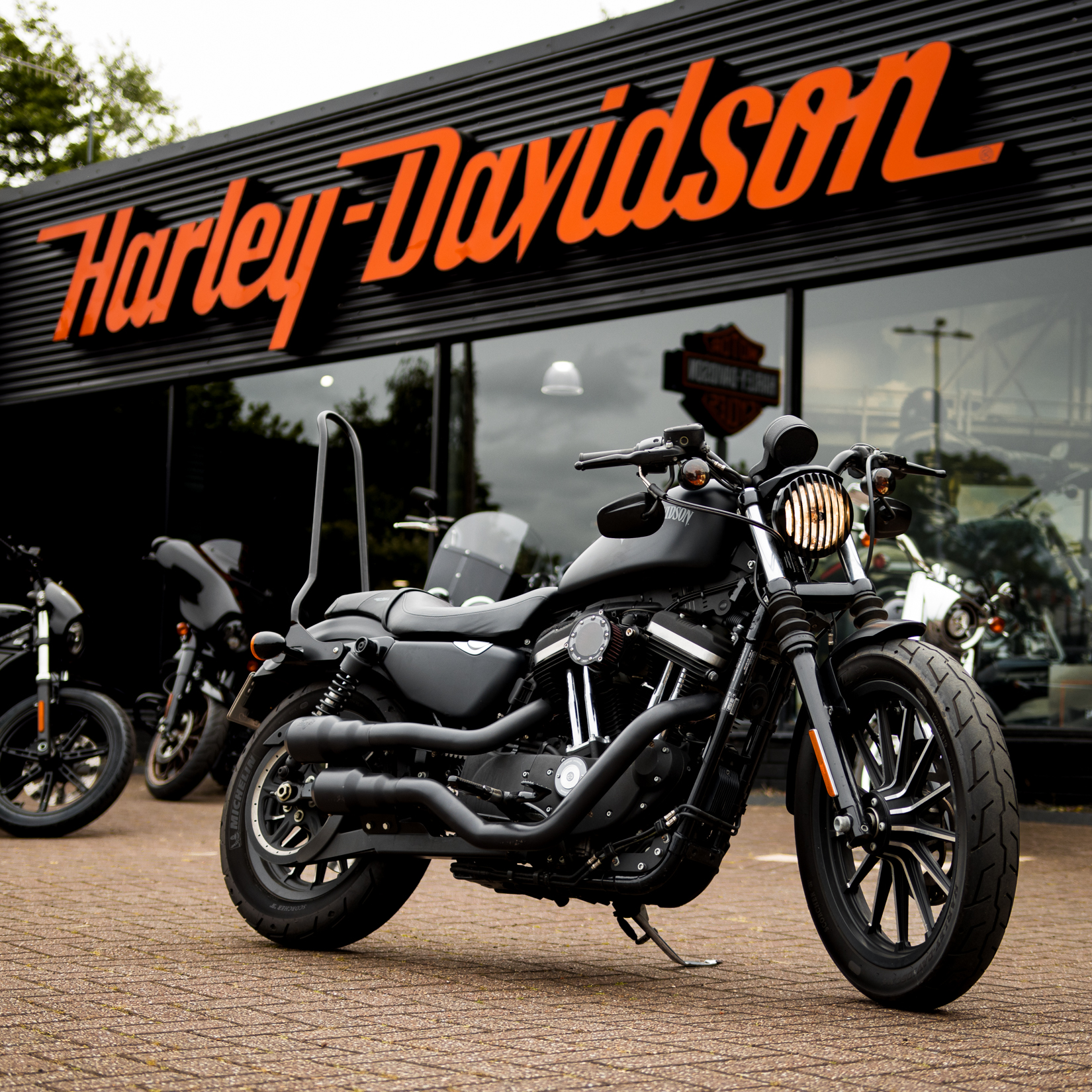 harley davidson hire